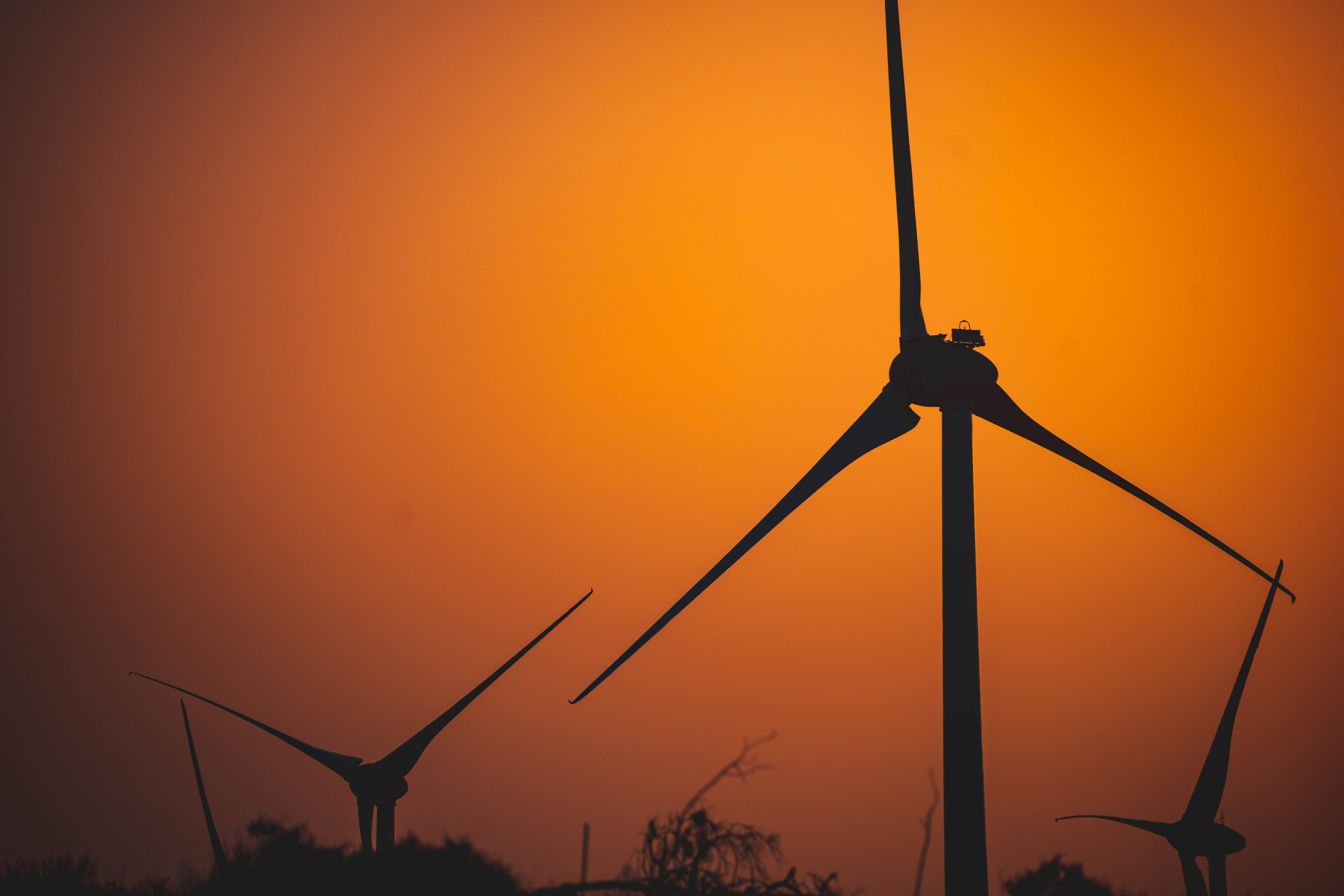The silhouette of some wind wheels at sunset.